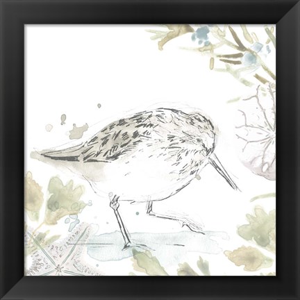 Framed Seaside Sandpipers III Print