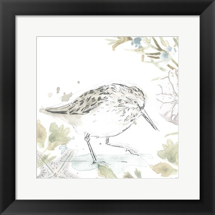 Framed Seaside Sandpipers III Print