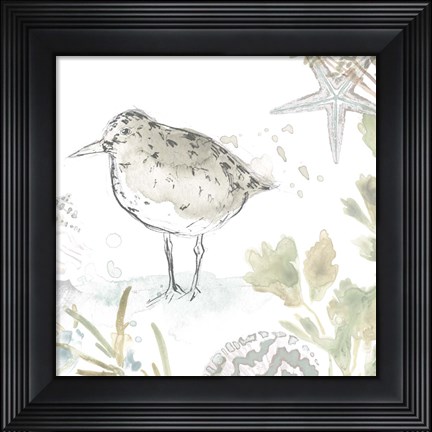 Framed Seaside Sandpipers IV Print