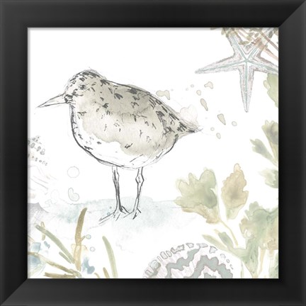 Framed Seaside Sandpipers IV Print