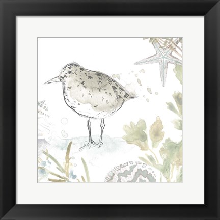 Framed Seaside Sandpipers IV Print