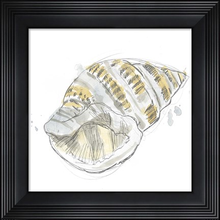 Framed Citron Shell Sketch I Print