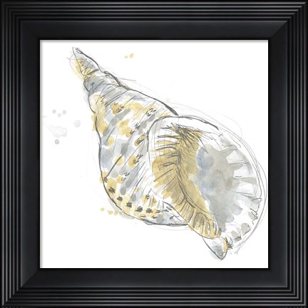 Framed Citron Shell Sketch II Print