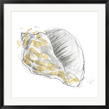 Framed Citron Shell Sketch III Print