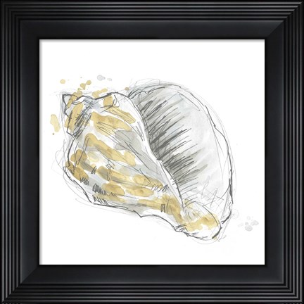 Framed Citron Shell Sketch III Print