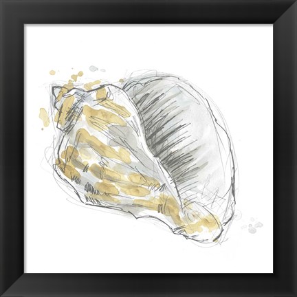 Framed Citron Shell Sketch III Print