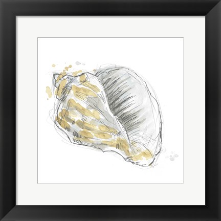 Framed Citron Shell Sketch III Print