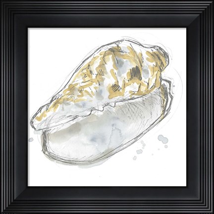 Framed Citron Shell Sketch IV Print
