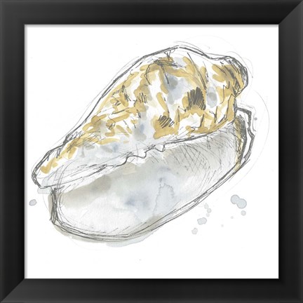 Framed Citron Shell Sketch IV Print