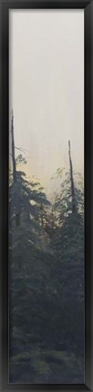 Framed Pacific Northwest Panel VI Print