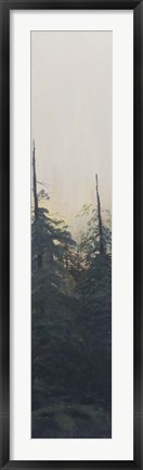 Framed Pacific Northwest Panel VI Print