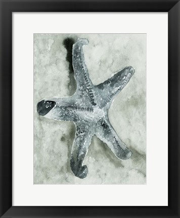 Framed Aquatic I Print