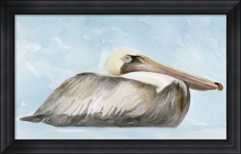 Framed Soft Brown Pelican I Print