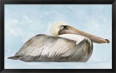 Framed Soft Brown Pelican I Print