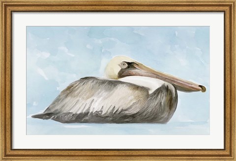 Framed Soft Brown Pelican I Print