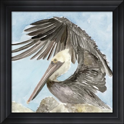 Framed Soft Brown Pelican II Print