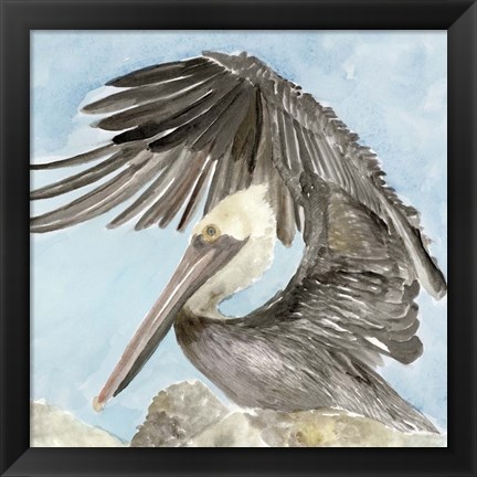 Framed Soft Brown Pelican II Print