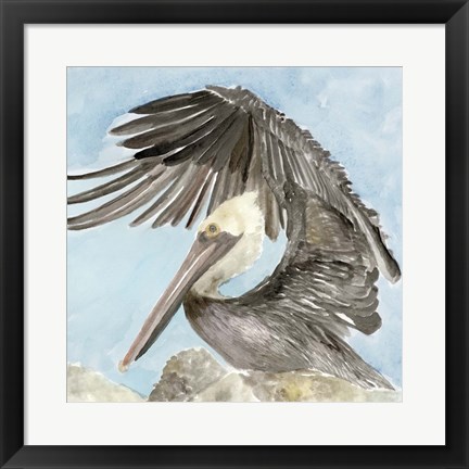 Framed Soft Brown Pelican II Print