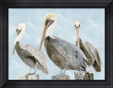 Framed Soft Brown Pelican III Print