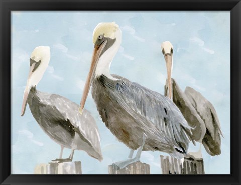 Framed Soft Brown Pelican III Print