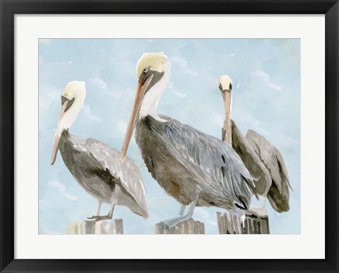 Framed Soft Brown Pelican III Print