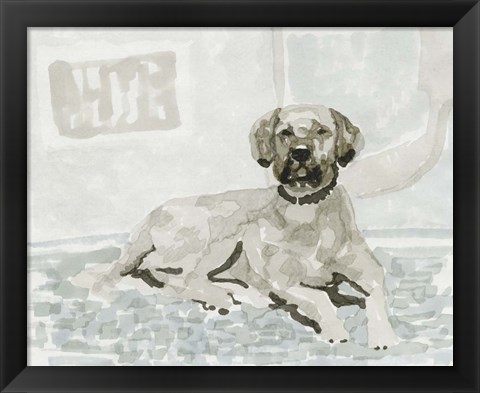 Framed Dog Study I Print