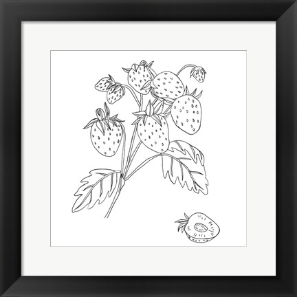 Framed Wild Strawberries II Print