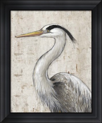 Framed Grey Heron II Print