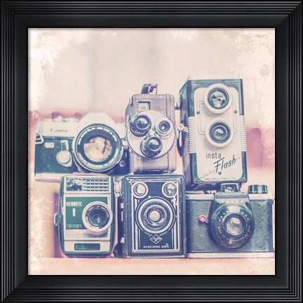 Framed Vintage Camera II Print