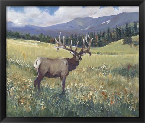 Framed Rocky Mountain Elk I Print