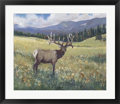 Framed Rocky Mountain Elk I Print