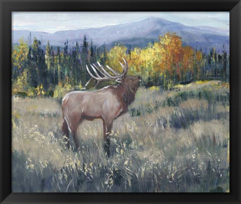 Framed Rocky Mountain Elk II Print