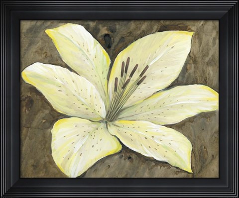 Framed Neutral Lily I Print