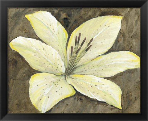 Framed Neutral Lily I Print