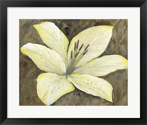 Framed Neutral Lily I Print