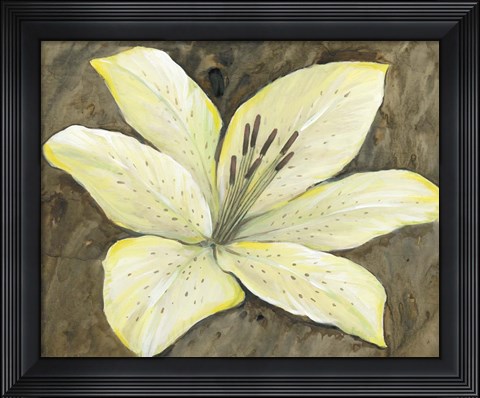 Framed Neutral Lily II Print