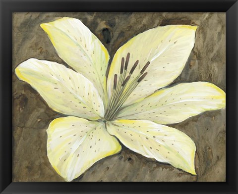 Framed Neutral Lily II Print