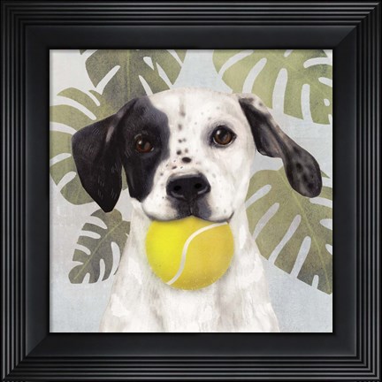 Framed Pet Life IV Print