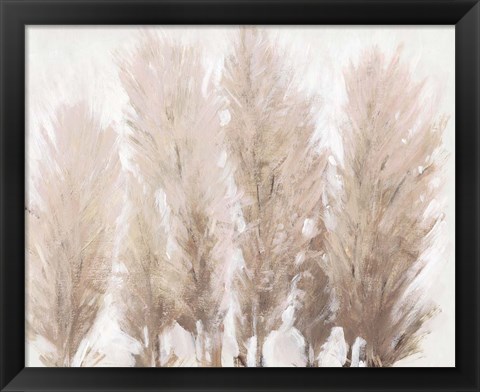 Framed Pampas Grass II Print