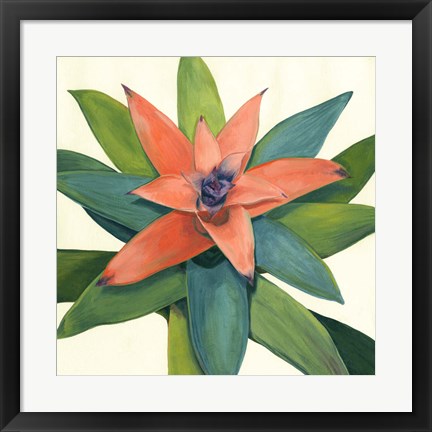 Framed Tropical III Print