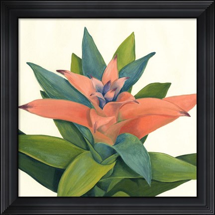 Framed Tropical IV Print