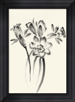 Framed Ink Wash Floral I - Daffodils Print