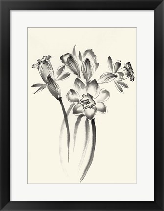 Framed Ink Wash Floral I - Daffodils Print