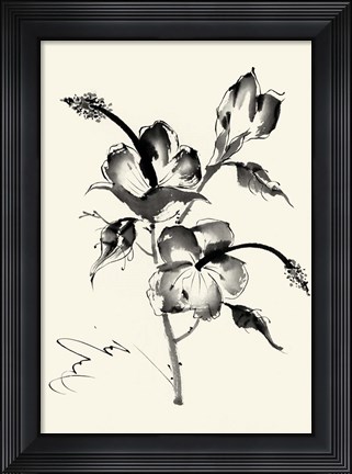 Framed Ink Wash Floral III - Hibiscus Print