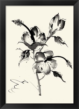 Framed Ink Wash Floral III - Hibiscus Print