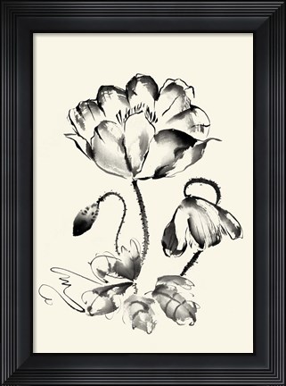 Framed Ink Wash Floral IV - Poppy Print