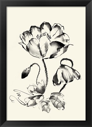 Framed Ink Wash Floral IV - Poppy Print