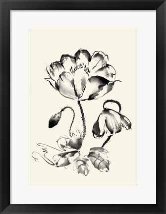 Framed Ink Wash Floral IV - Poppy Print