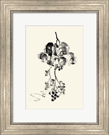Framed Ink Wash Floral V - Grapes Print
