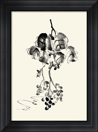 Framed Ink Wash Floral V - Grapes Print